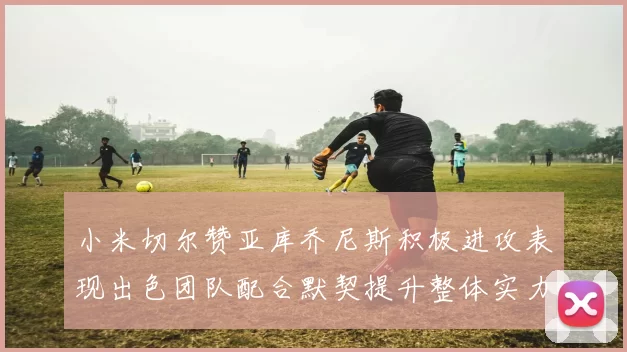 小米切尔赞亚库乔尼斯积极进攻表现出色团队配合默契提升整体实力